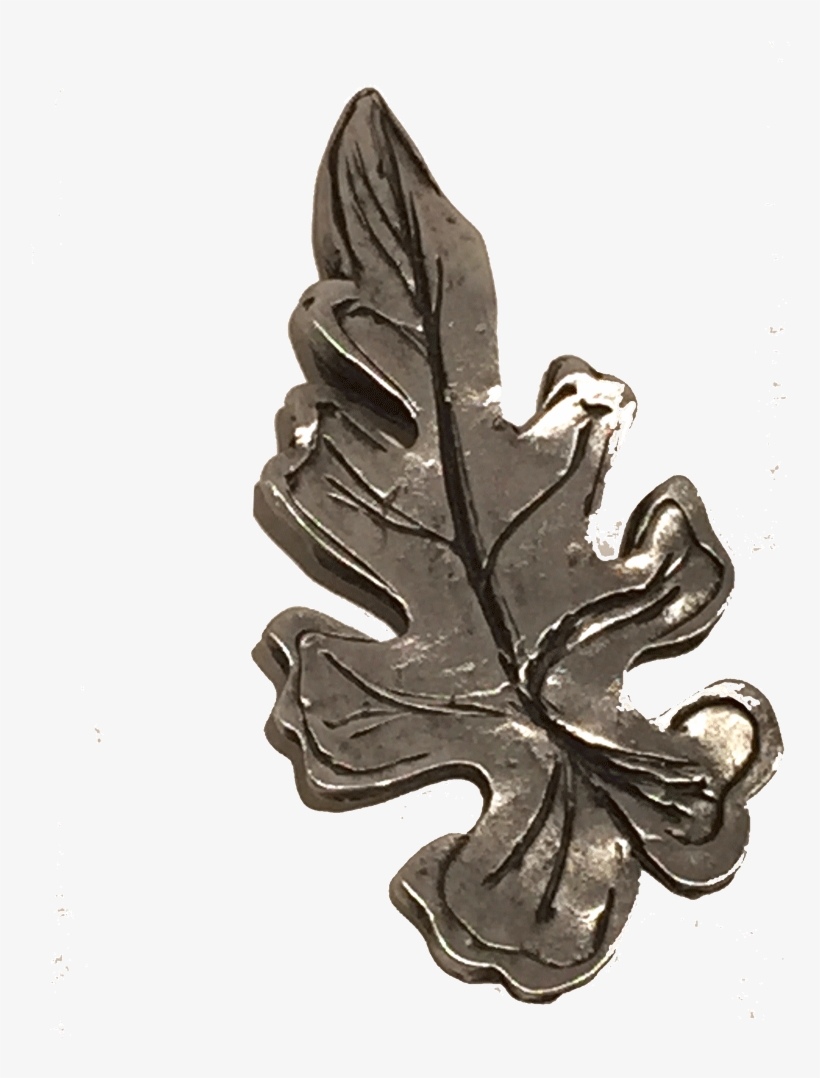 Leaf Magnet Set - Brooch, transparent png download