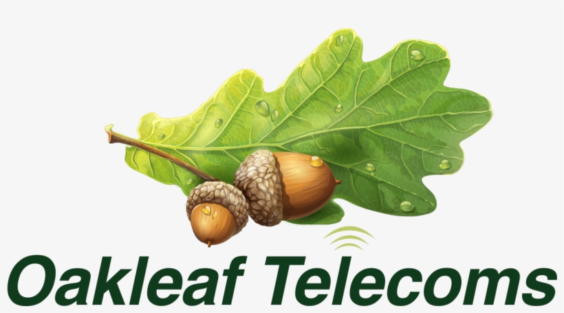 Oakleaf Logo New 1 - Beetroot, transparent png download