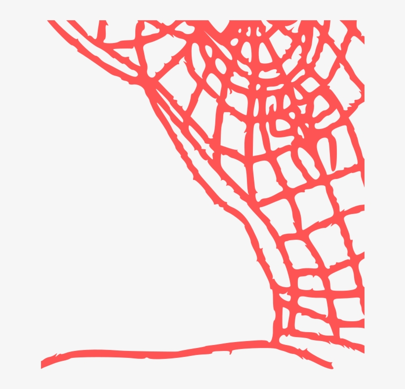 This Png File Is About Animal , Spider , Web , Corner, transparent png download
