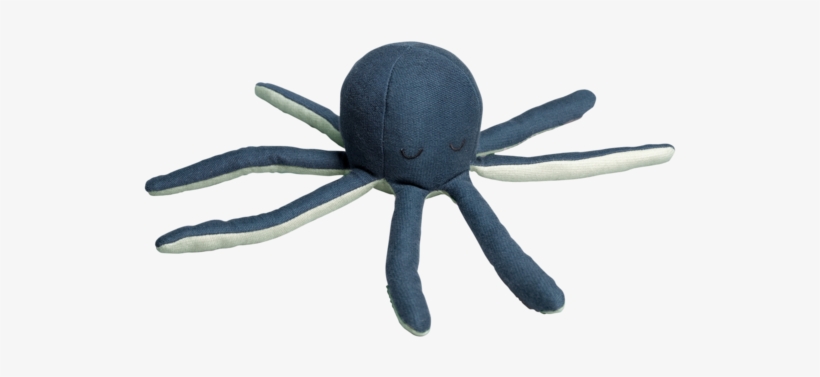 Tangle-web Spider, transparent png download