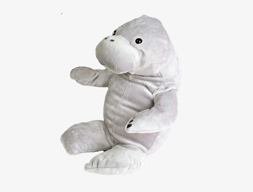 Teddy Bear, transparent png download