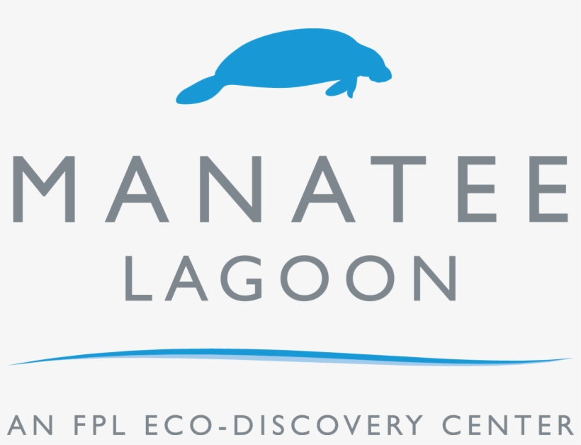 Life Quotes To Live, transparent png download