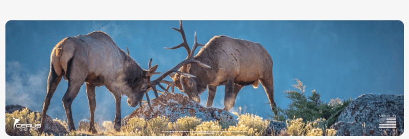 Elk Rut Magnum Xxl Promat - Elk, transparent png download
