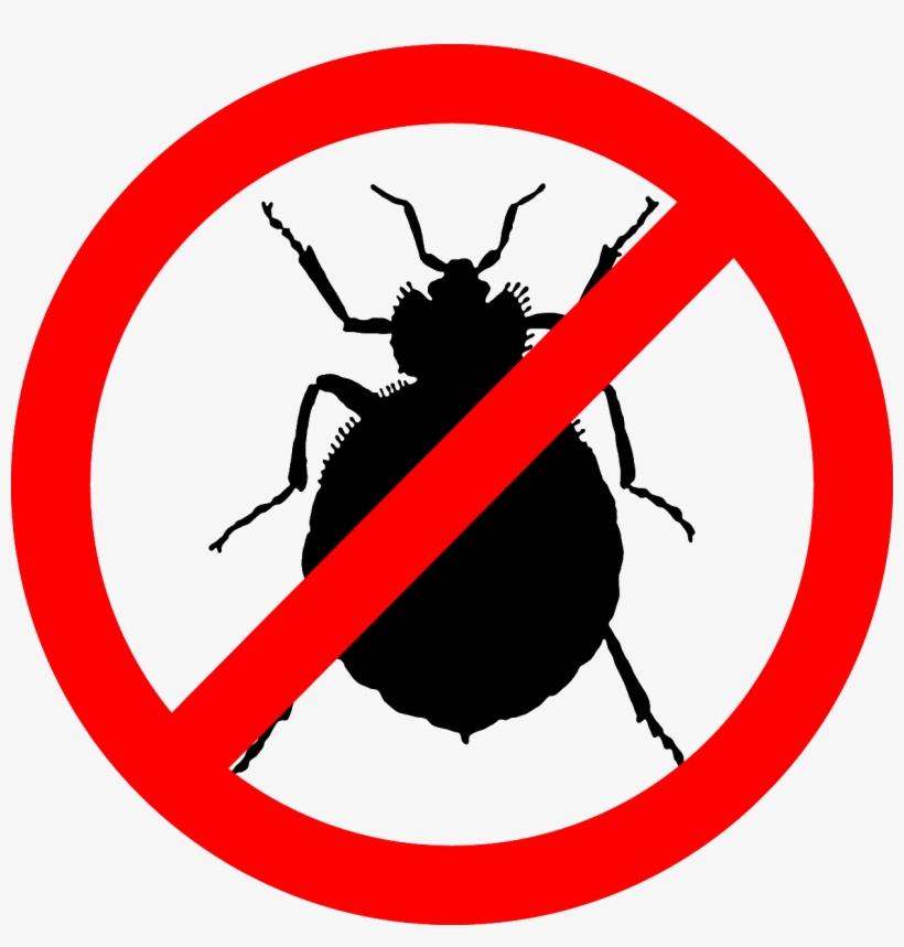 As The Developers Of The Game Are Just Human As Well, - Bed Bugs Stop, transparent png download