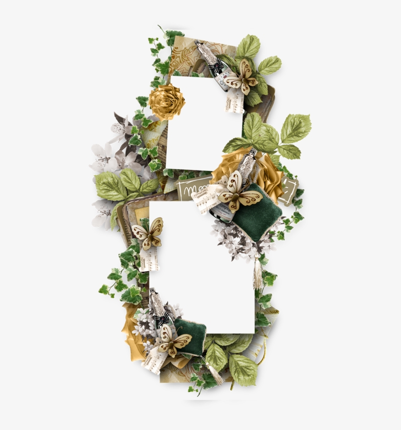 B *✿* Png Photo, Frame Background, Christmas Frames, - Picture Frame, transparent png download