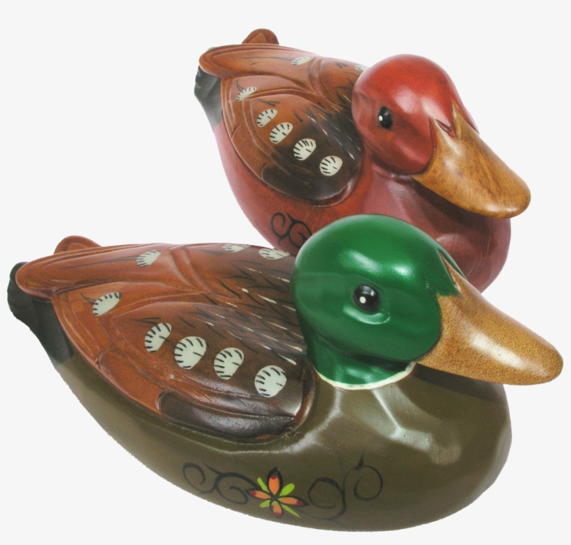 Duck Set 06 - Mallard, transparent png download