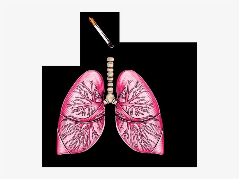 A Dangerous Transformation - Earrings, transparent png download