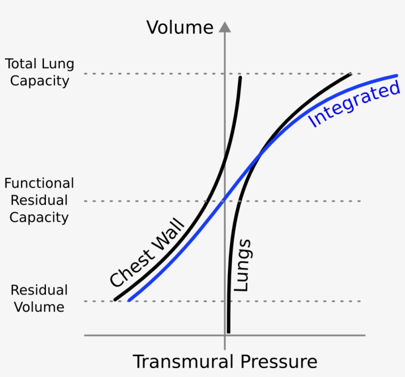 The Integrated Pulmonary Compliance Curve - Lung Compliance Curve, transparent png download