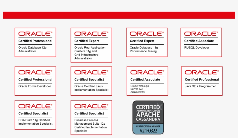 Itzdata Nearshore Enterprise It Outsourcing And Consulting - Oracle Weblogic Server, transparent png download