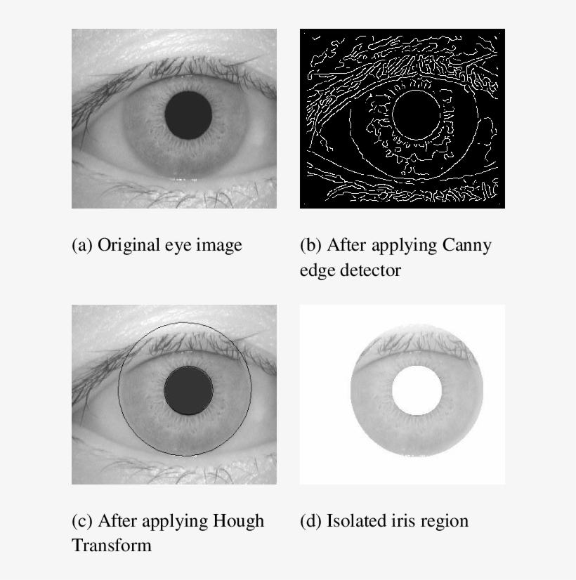 Segmentation Process Of An Iris Recognition System - Segmentation For Iris Recognition, transparent png download