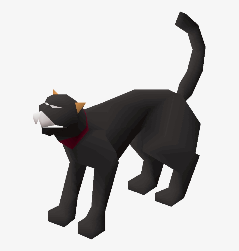 Witch's Cat, transparent png download