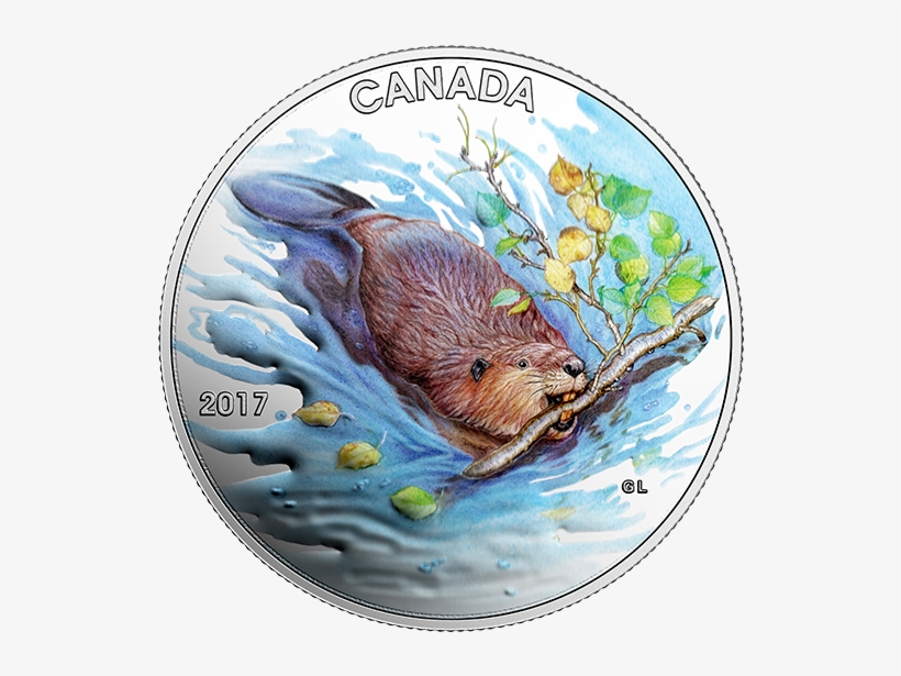 X159891 Rev-570 - Canada 150 Beaver, transparent png download