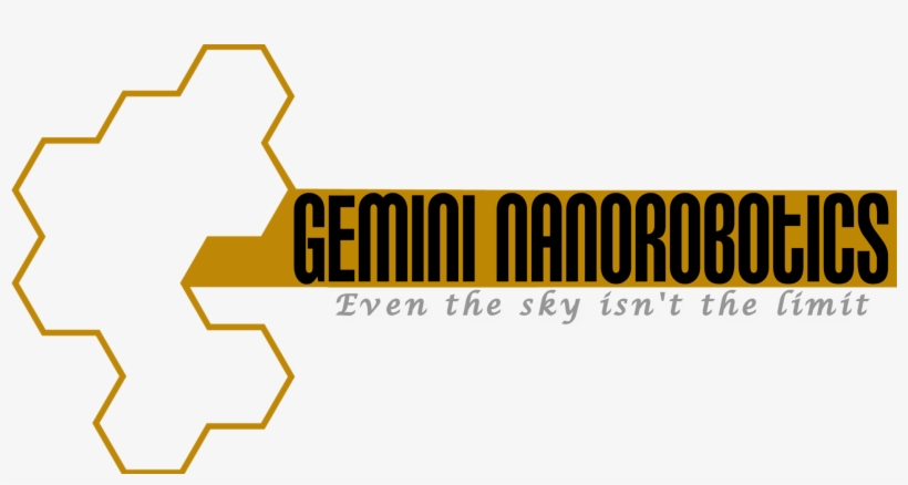 Gemini Nanorobotics Logo V1, transparent png download