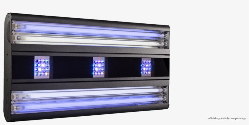 Marine Aquarium, transparent png download