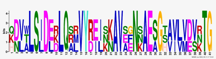 Png Logos Require Convert From Imagemagick - Graphic Design, transparent png download