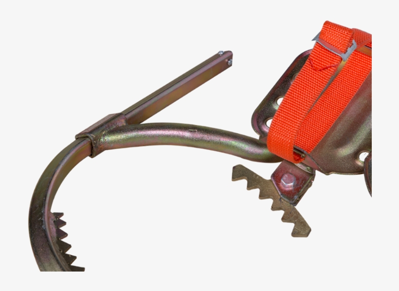 Wood Pole Climber Tree Climbing Shoes With Sharp Teeth - Insect, transparent png download