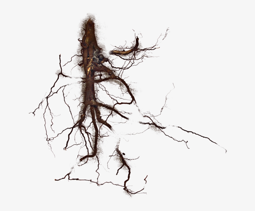 Munich Is Built On Gravel The Munich Gravel Plain Developed - Sketch, transparent png download