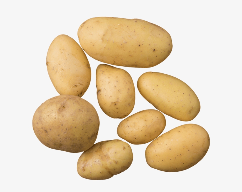 1 Unit - Yukon Gold Potato, transparent png download