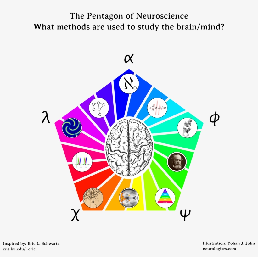 Neurogreek - Pentagon Of Neuroscience, transparent png download