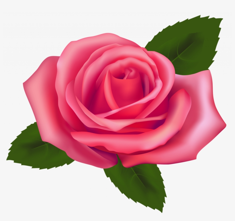 Download Pink Rose Clip Art - Pink Rose Clipart Png, transparent png download