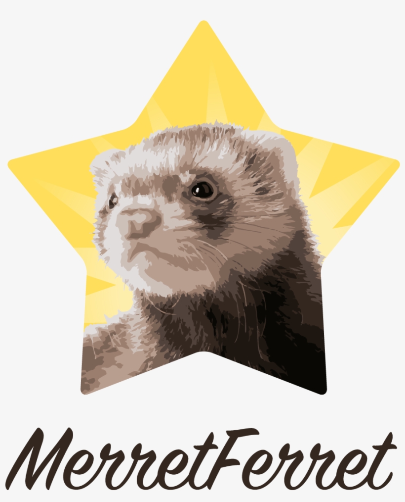 Ferret, transparent png download