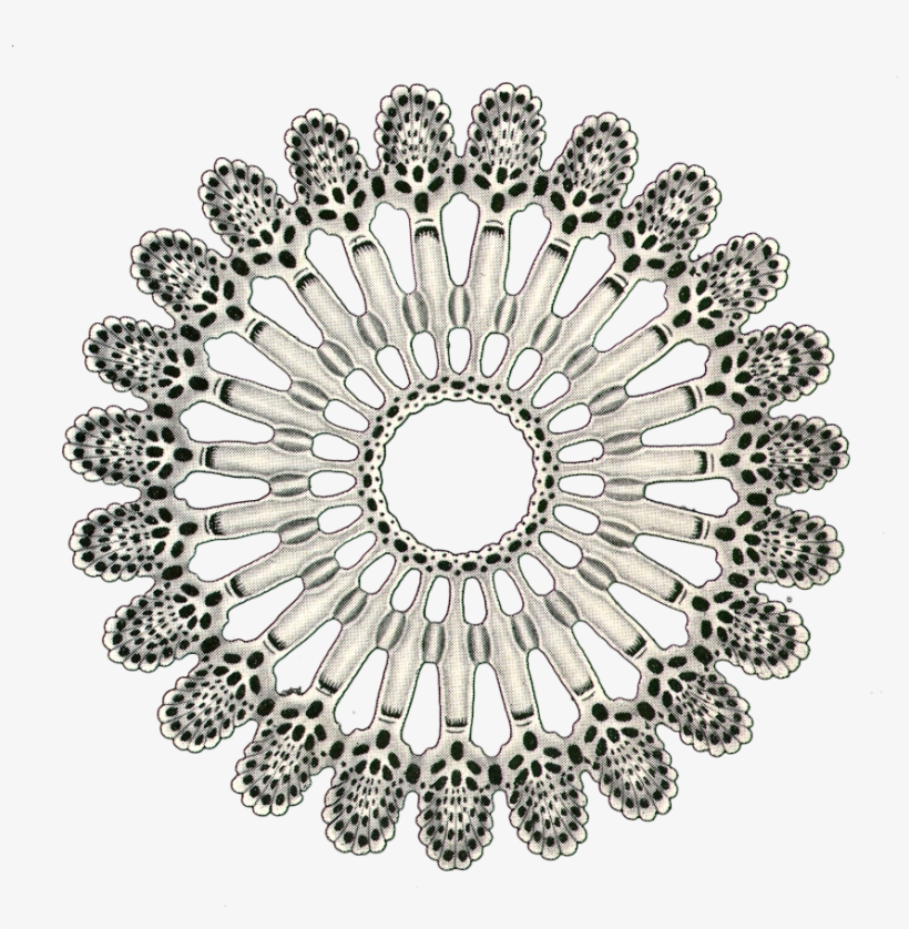 Pompa Acciaio Per Bici, transparent png download