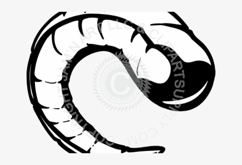 Svg Freeuse Cliparts Free Download Clip Art Carwad - Ram Horns Clipart, transparent png download