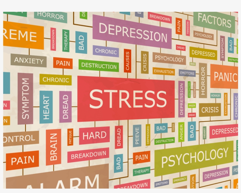 View Larger Image Stress - Online Research Skills, transparent png download