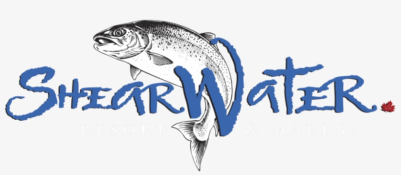 Shearwater Resort And Marina - Shearwater Marine, transparent png download