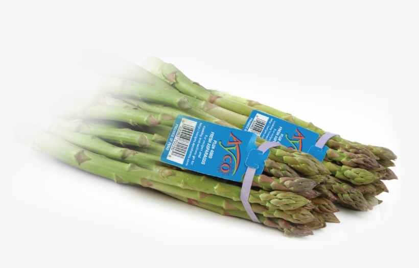 Begins With Healthy Eating - Asparagus, transparent png download