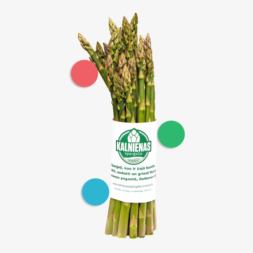 How Asparagus Is Cultivated - Bamboo, transparent png download