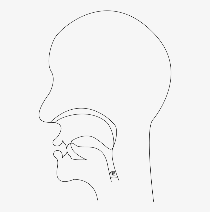 Sketch, transparent png download