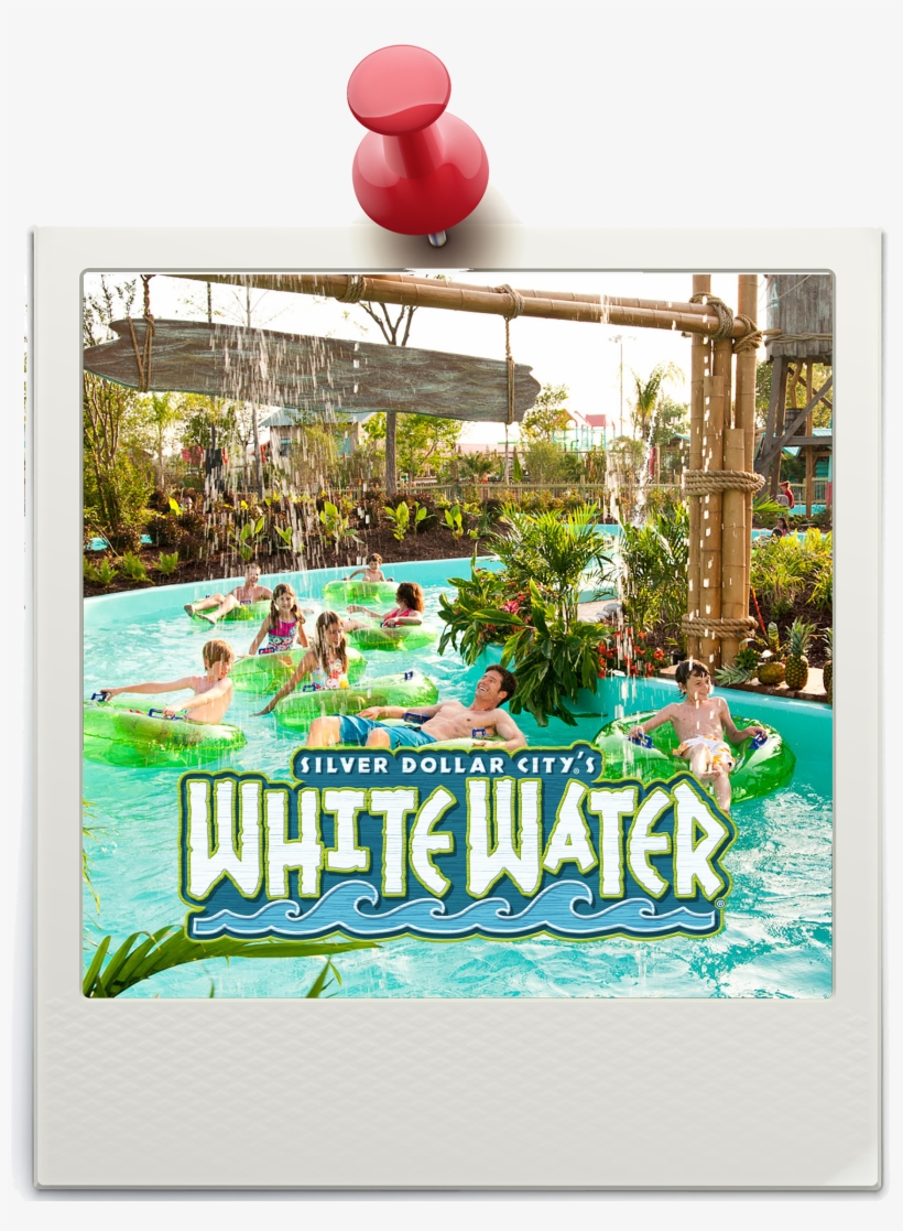 Poster, transparent png download