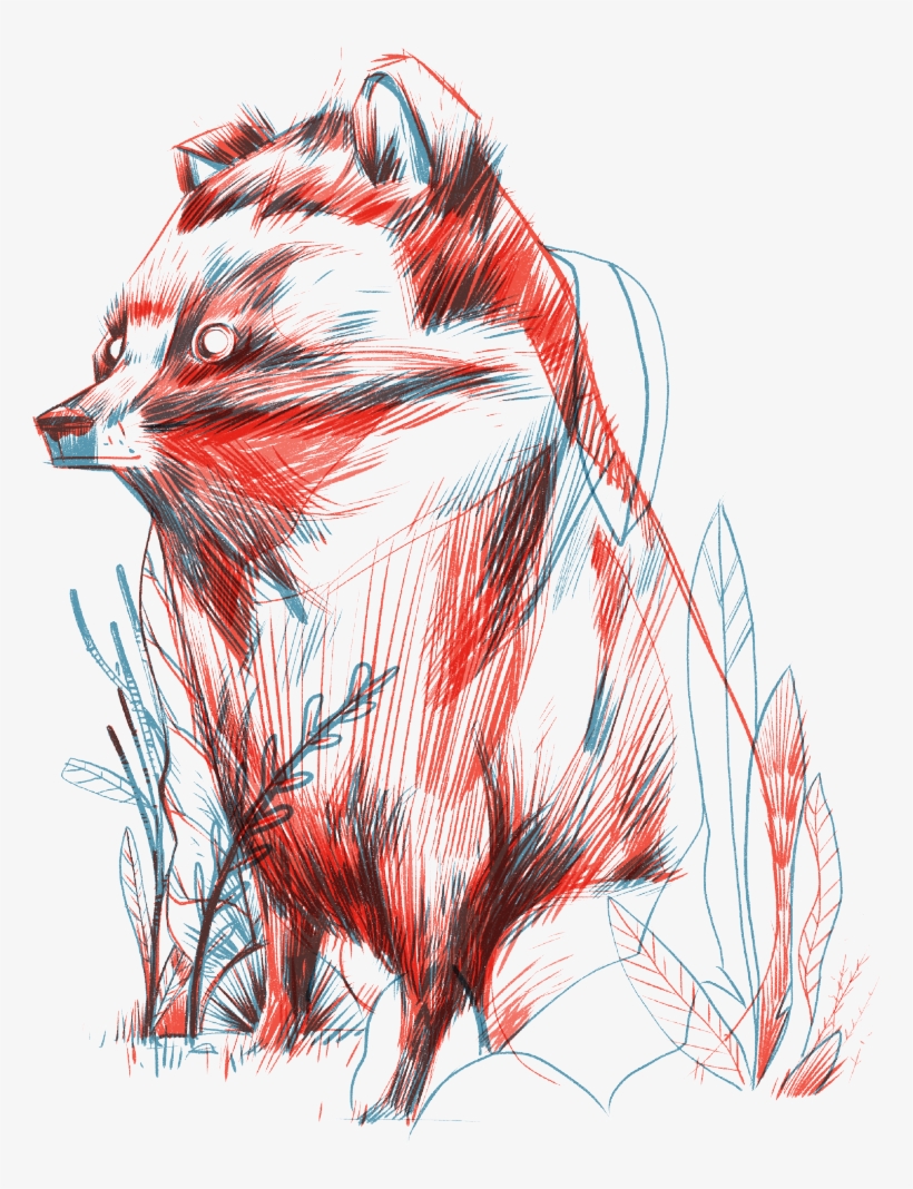 Kokoro Gin Afan Woodland Animal Tales 'tanuki' Racoon - Sketch, transparent png download