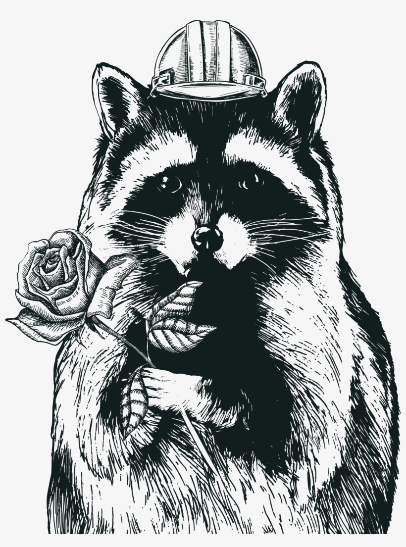 Racoon Clipart Gray - Domestic Long-haired Cat, transparent png download