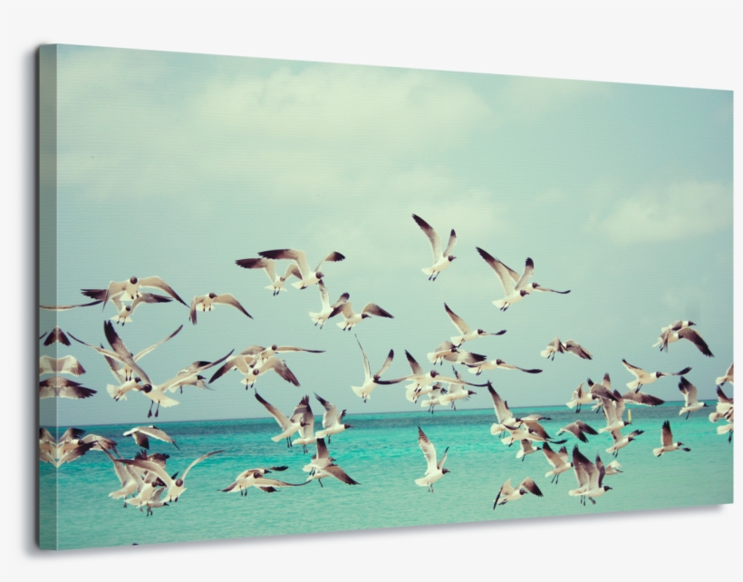 Death Quotations, transparent png download