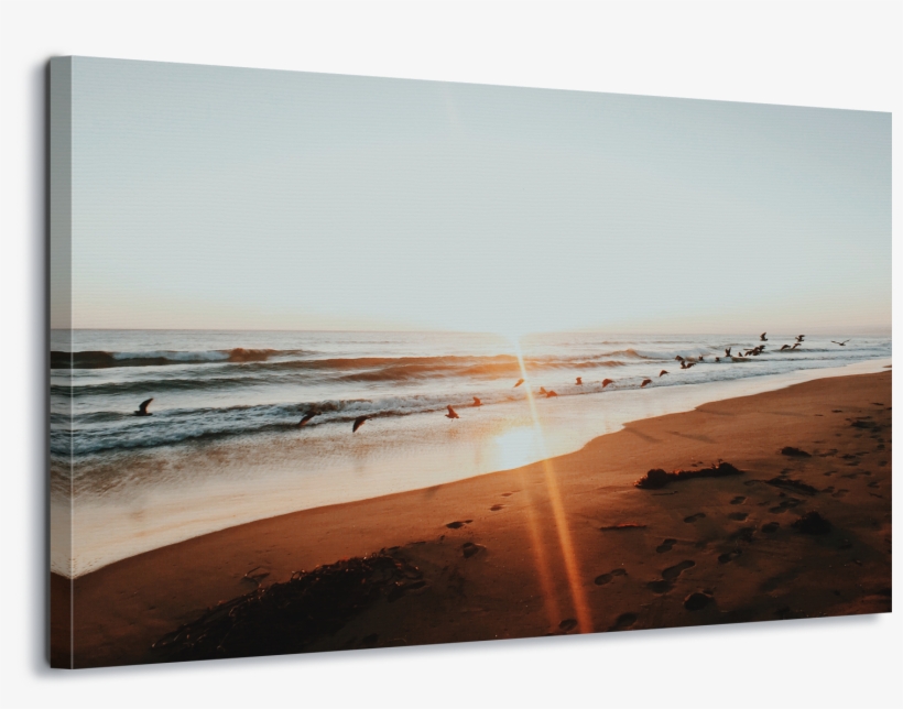 Image Is Loading Beach Sunset Seagulls Coast Canvas - Singing Sand, transparent png download