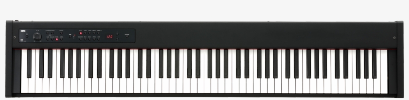 Korg D1 Digital Piano Compact Real Weighted Hammer - Casio Px 160 Bk Privia, transparent png download