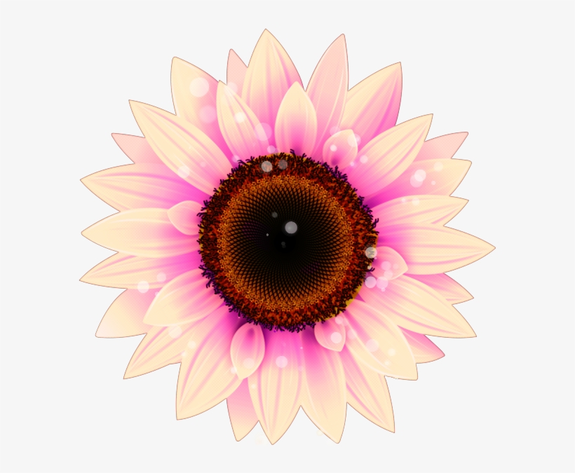 Aesthetic Church Vaporwave Tumblr Purple Png Aesthetic - Get Well Soon David, transparent png download