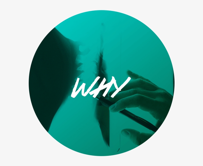 412 275 - Circle, transparent png download