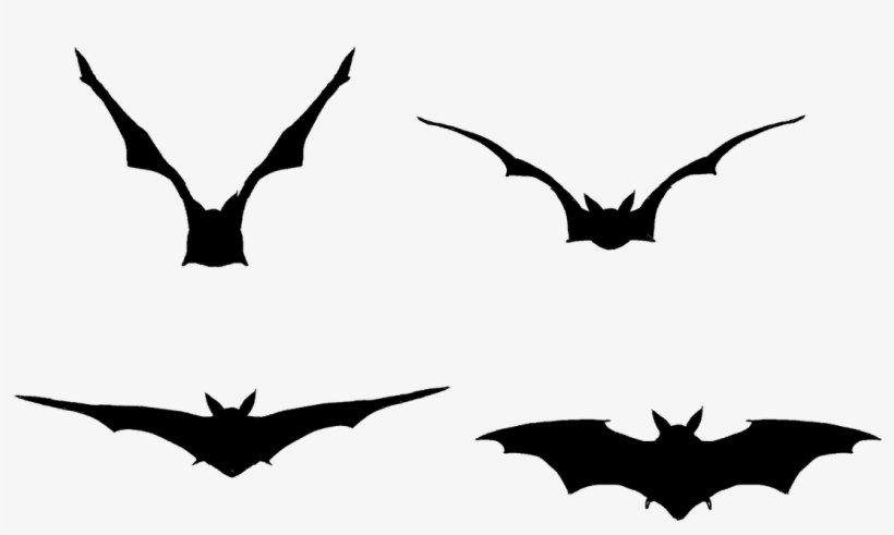 Take Any Single Instant In Their Flight And They'll, transparent png download