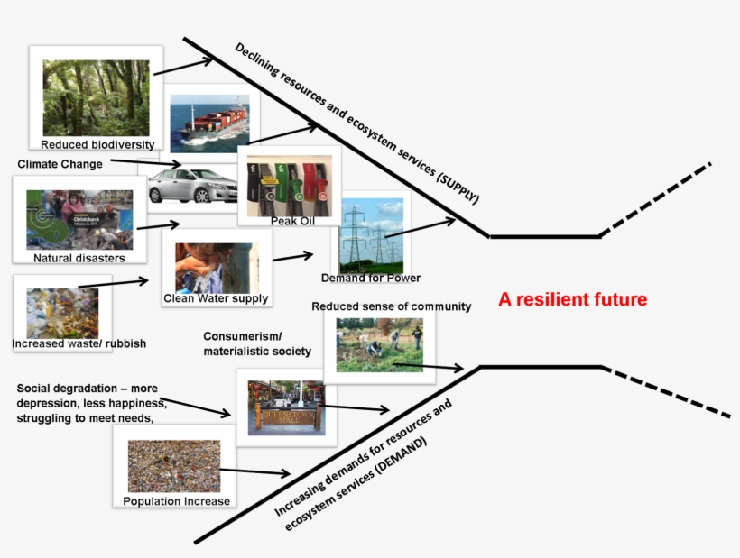 Lines When Demand And Supply Are Equal Or Potentially - Cargo Ship, transparent png download