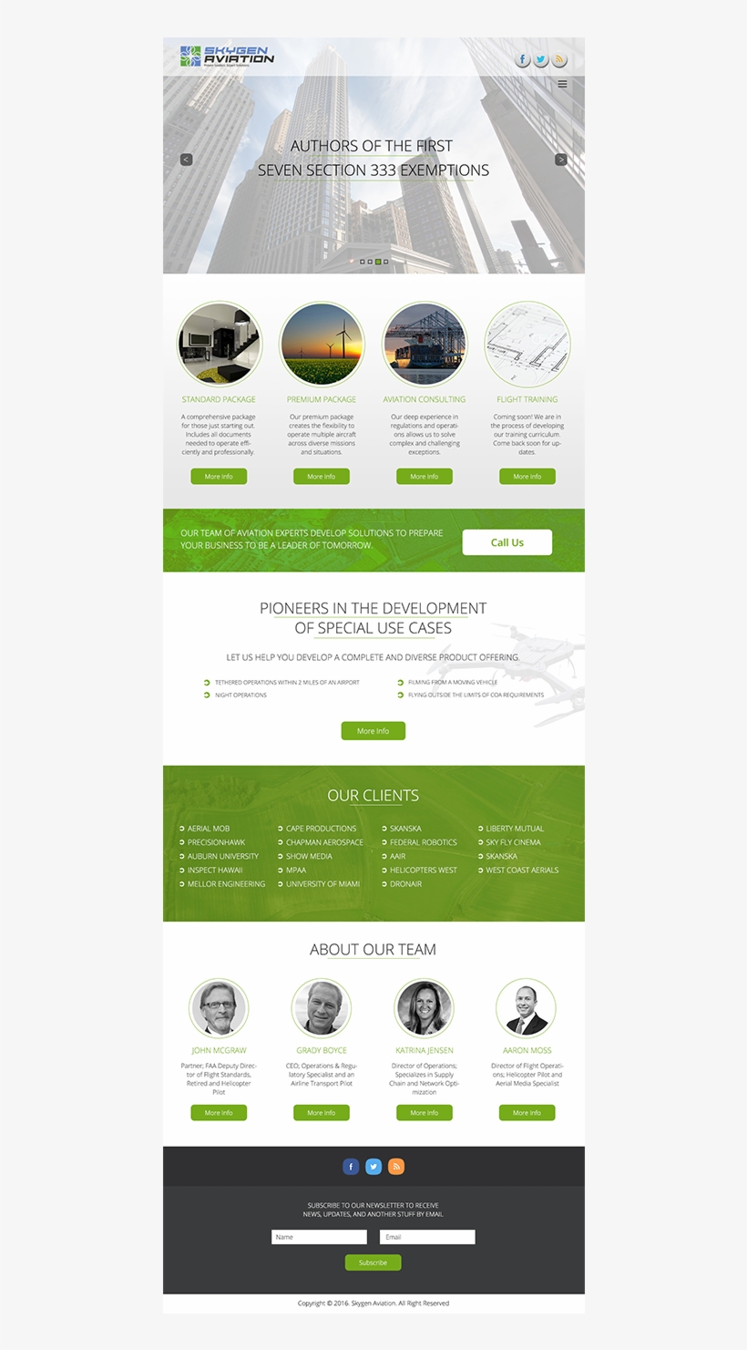 Web Design By 5stardesigners For Skygen Aviation - Online Advertising, transparent png download