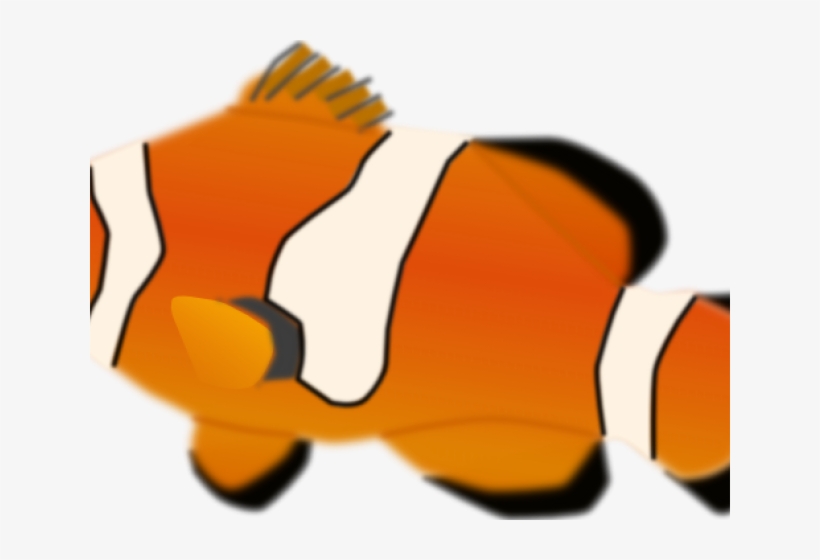 Clownfish Clipart Ocean Fish - Clown Fish No Background, transparent png download