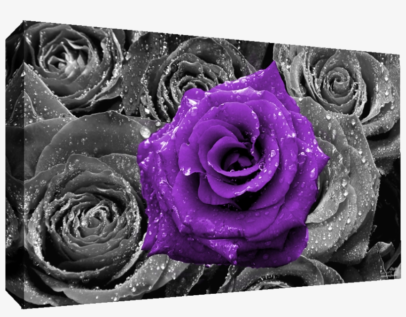 Details About Floral Purple Rose On Bed Of Roses Abstract - Roses Abstract, transparent png download
