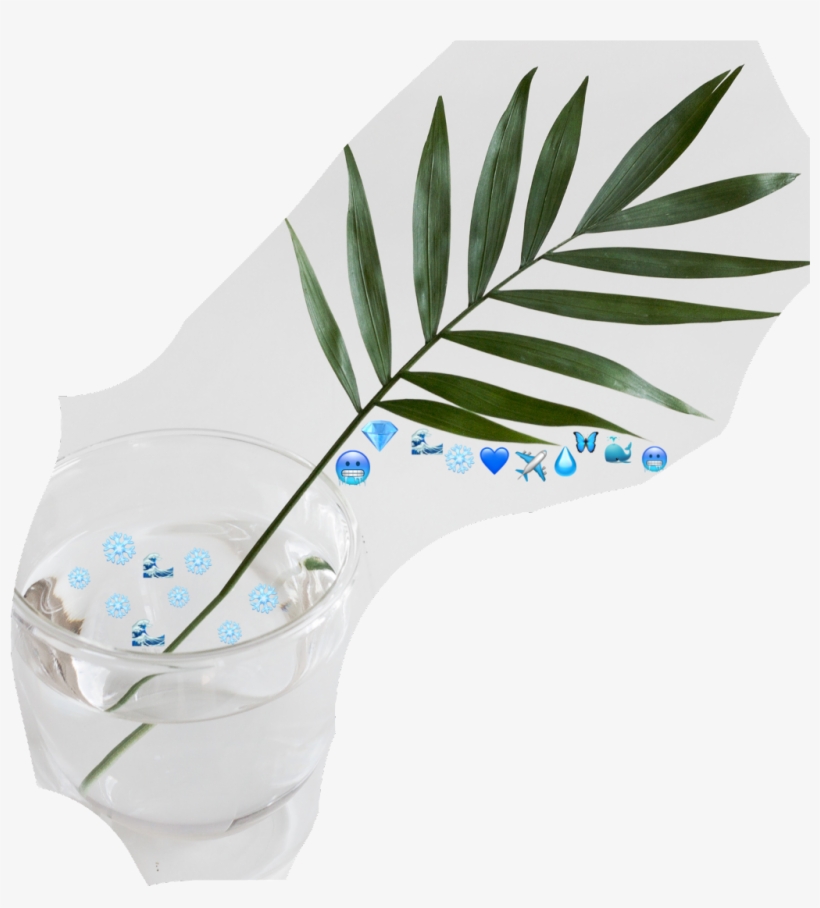 Blue Emoji Challenge Water Nature Plants Stayhydrated - Houseplant, transparent png download