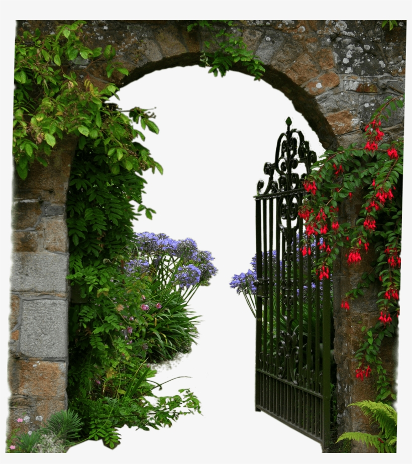 About-252 - Garden, transparent png download