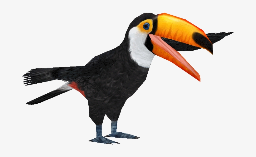 Tocotoucanad - Toucan, transparent png download
