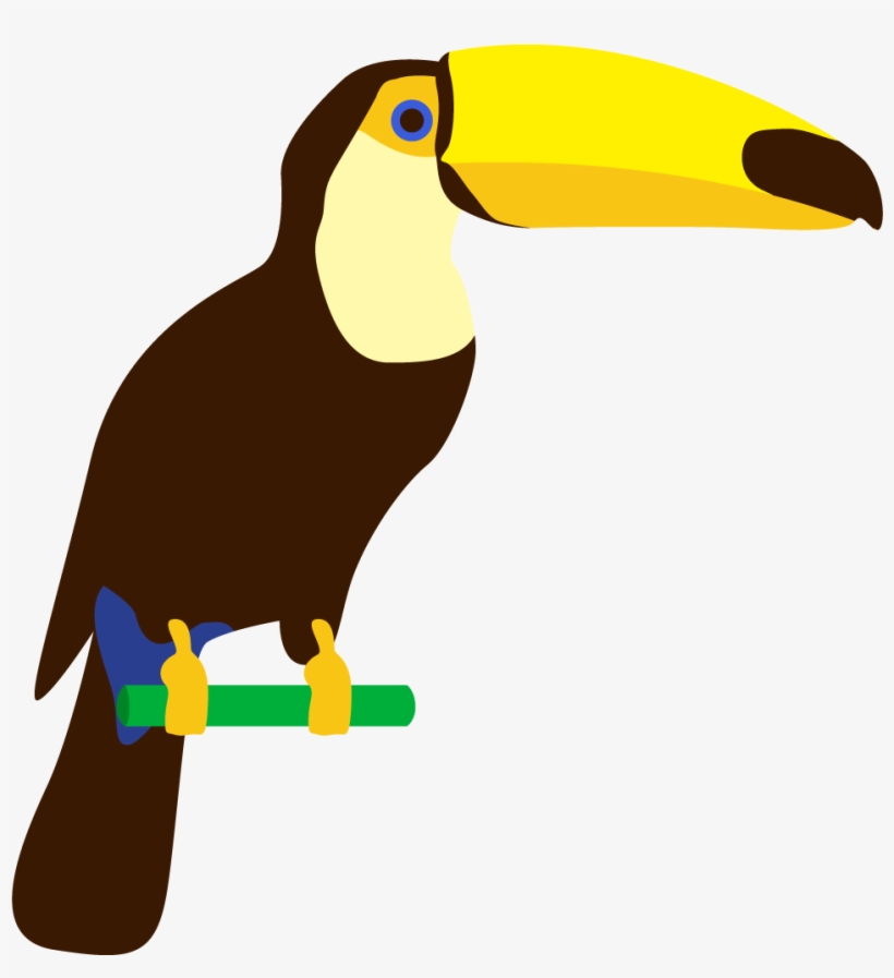 1000 X 1000 9 - Desenho De Papagaio Em Png, transparent png download