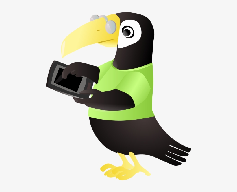 Toucan, transparent png download